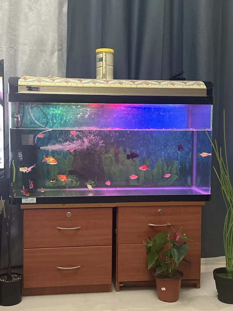 100 Liter Clear Aquarium Tank with 15 Variety of Fish62930649510403111
