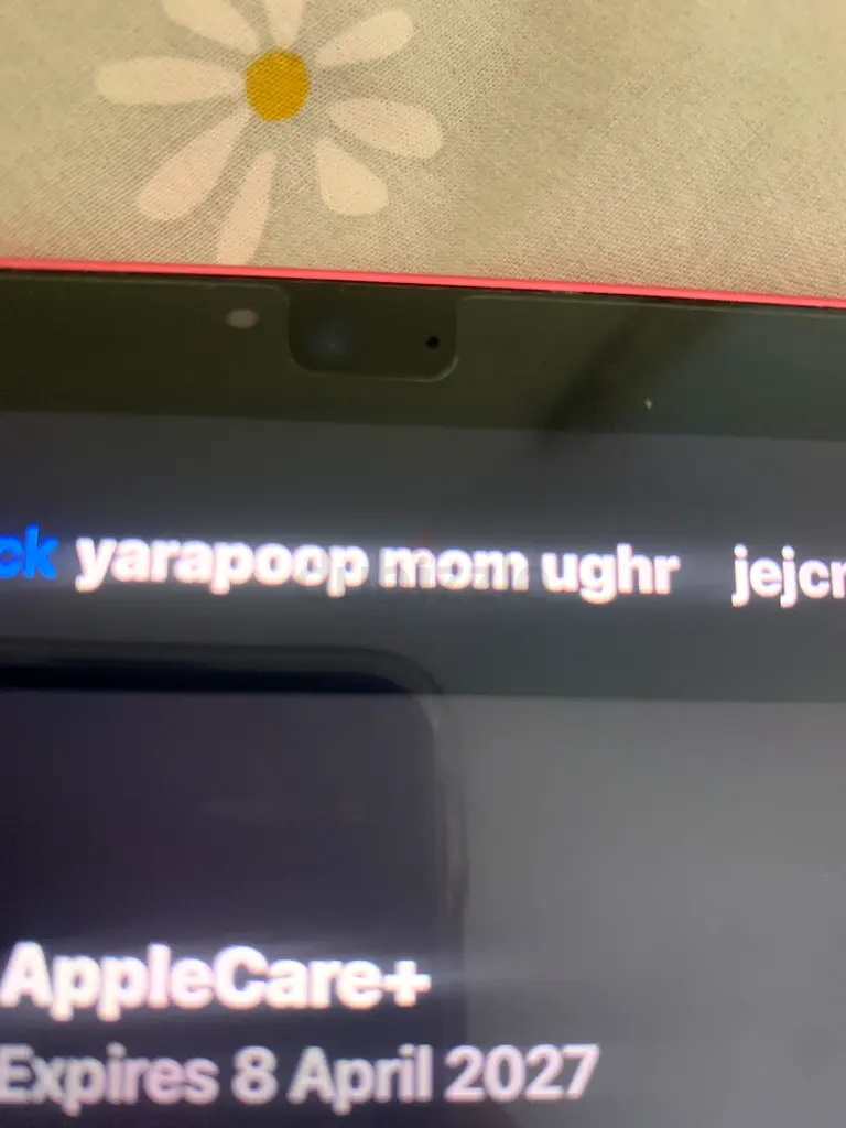 iPad 1063216357235841117