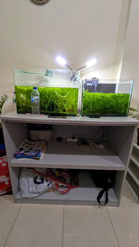 Aquarium wth plans632640791014421113