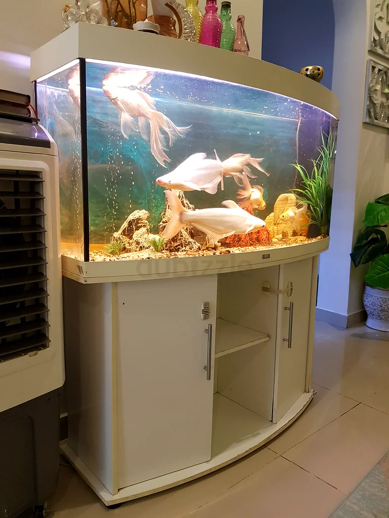 Beautifully set up JUWEL COMPANY aquarium with vibrant fish for sale!63233644956417112