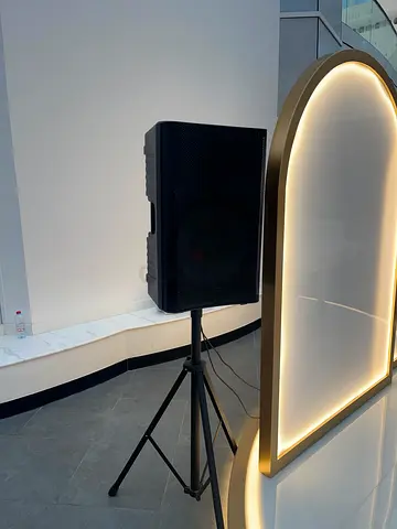 Powerful PA Speaker 15inch pair