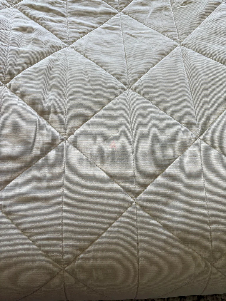 Cozy Pottery Barn Kids Plush Blanket for Sale!63196632289282112