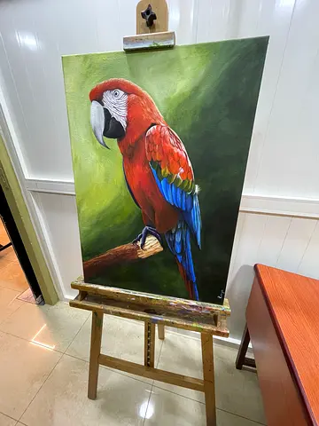 Macaw Painting