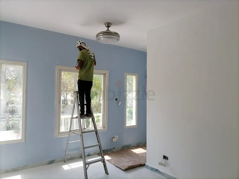 Home villa apartment painting wall and celing outdoor indoor painting62930660542977113