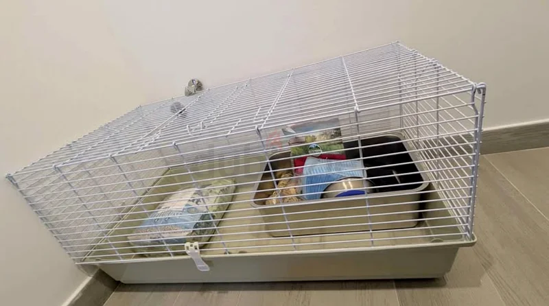 Spacious and Clean Pet Cage for Sale!629316803283221119