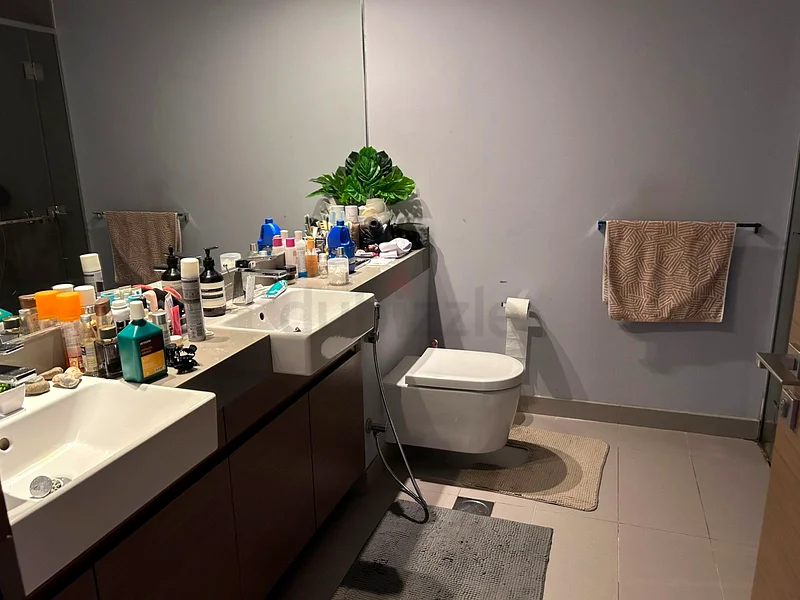 Cleaning service63220835321602111