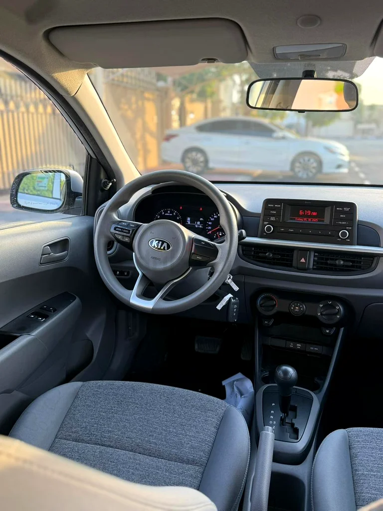 Picanto 202063224789311106113