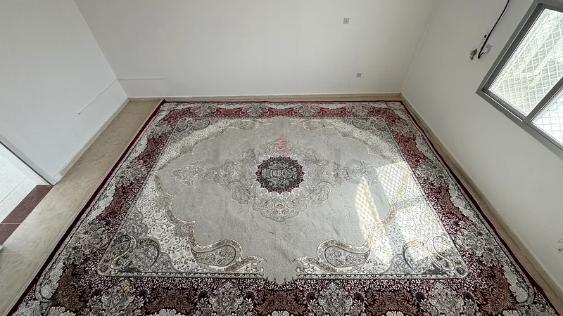 Elegant European/Classical Area Rug - Perfect for Any Room63209347947522114