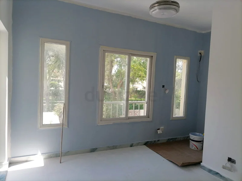 Home villa apartment painting wall and celing outdoor indoor painting62930660542977111