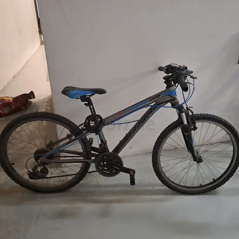 bicycle small adult