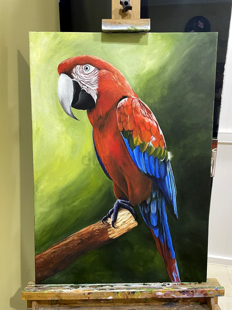 رسم الببغاء63264588046977111