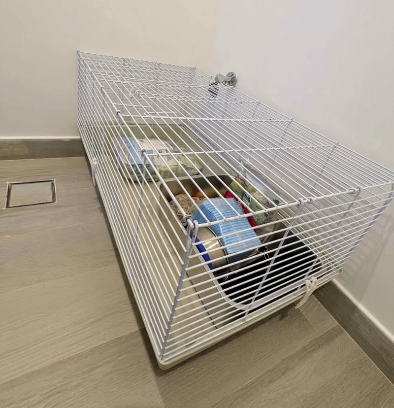 Spacious and Clean Pet Cage for Sale!62931680328322113