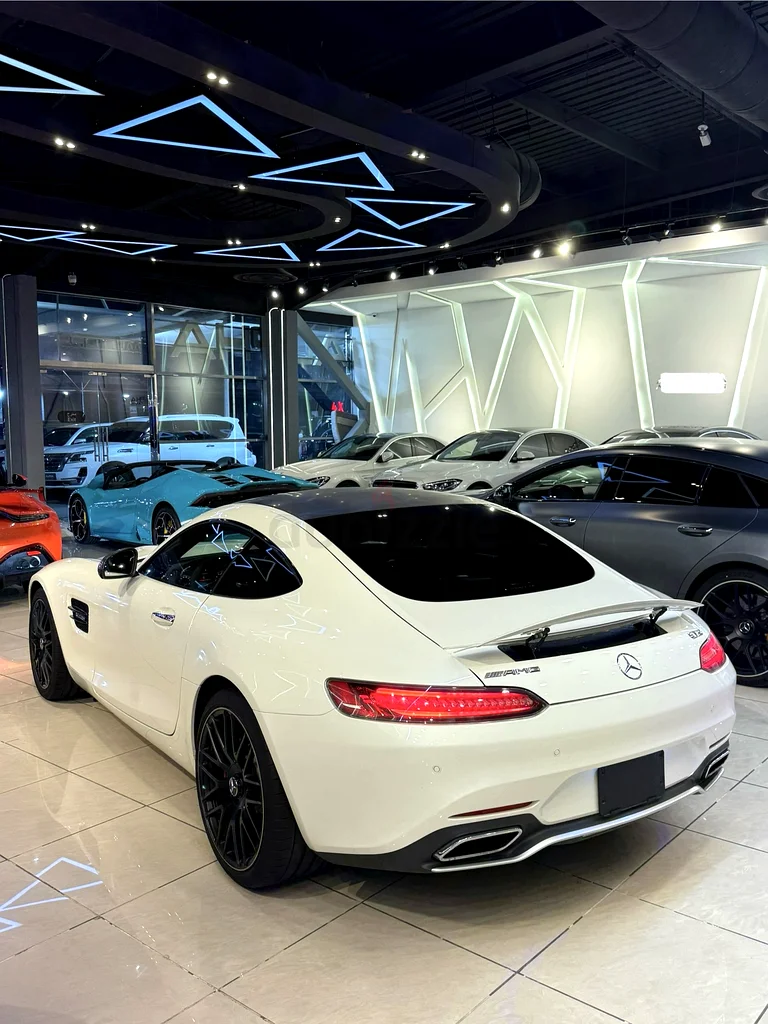 Mercedes-Benz AMG GTS63165226862595111