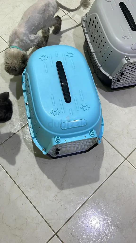 Cage for pet63232649534339114