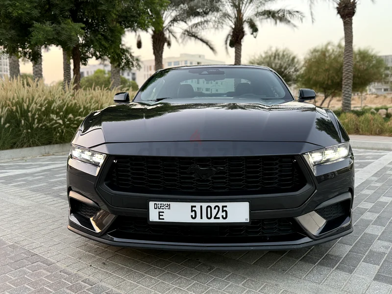 موستانج ايكومبوست 202463148646685313111