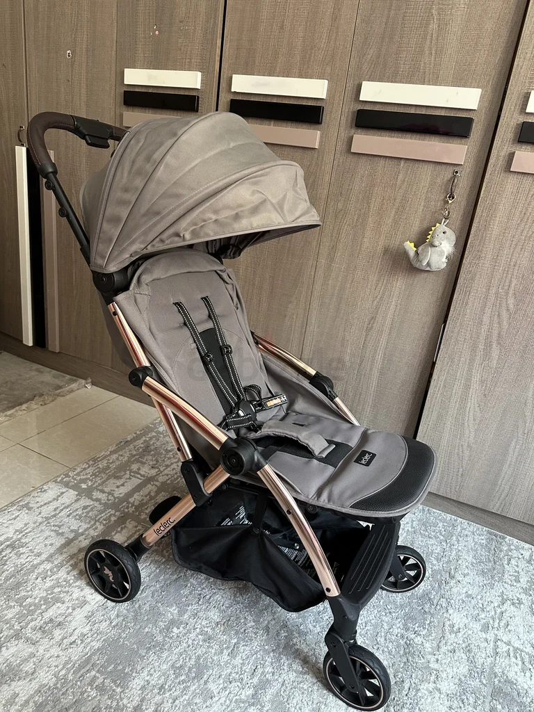 ليكلير مُ influencer cabin موافقة stroller62929659405698113