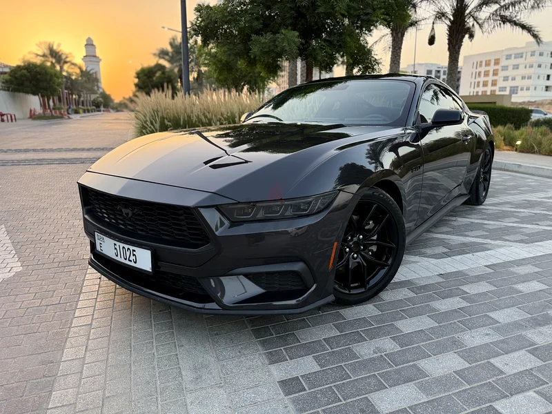 موستانج ايكومبوست 202463148646685313113