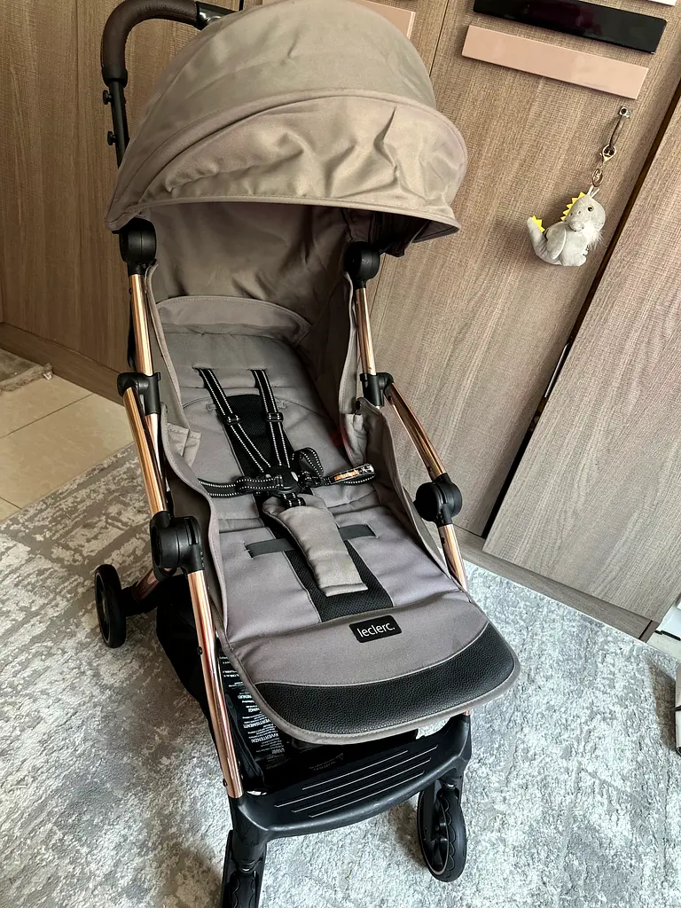 Leclerc influncer cabin approval stroller63263497402241115