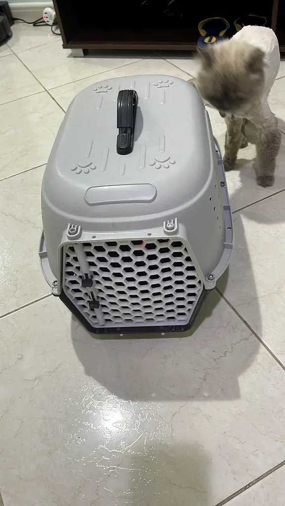 Cage for pet63232649534339112
