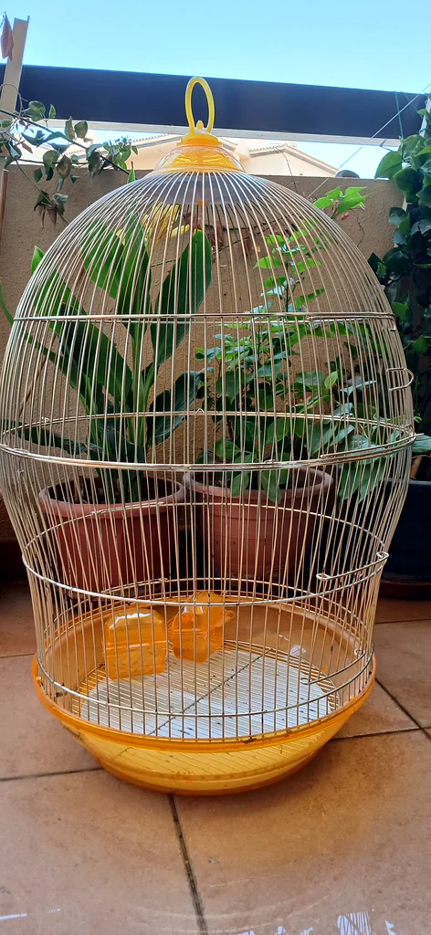 Stylish Bird Cage - Ideal for Your Feathered Friends just for 100 Dirhams629306490470431118