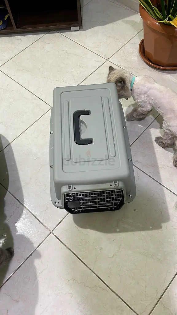 Cage for pet63232649534339113