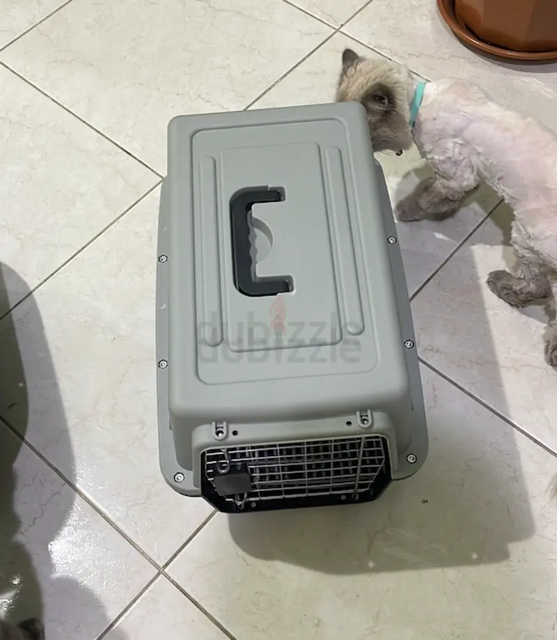 Cage for pet