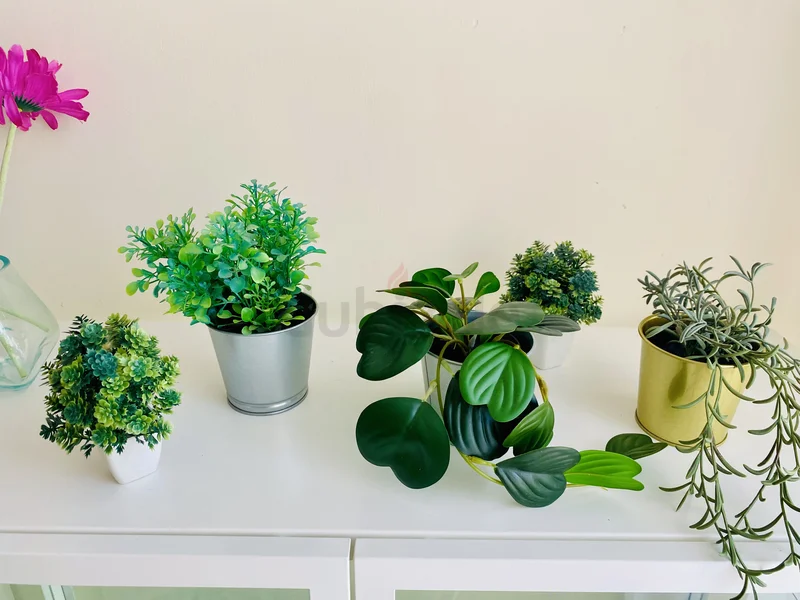 Ikea vases -562930643587331111
