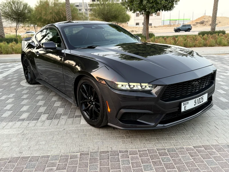 موستانج ايكومبوست 202463148646685313112