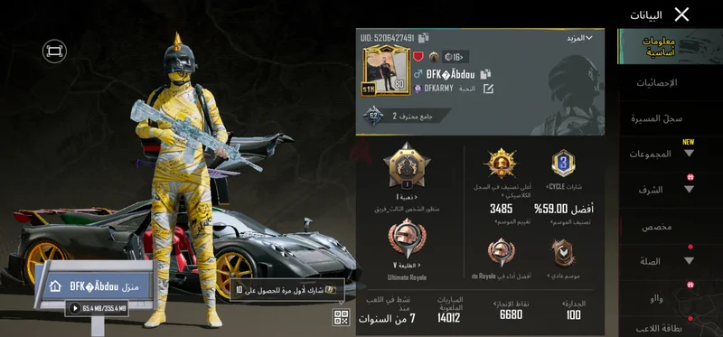 حساب لعبة Epic PlayerUnknowns Battlegrounds (PUBG) مع سكنات حصرية وإحصائيات!629306456825611110