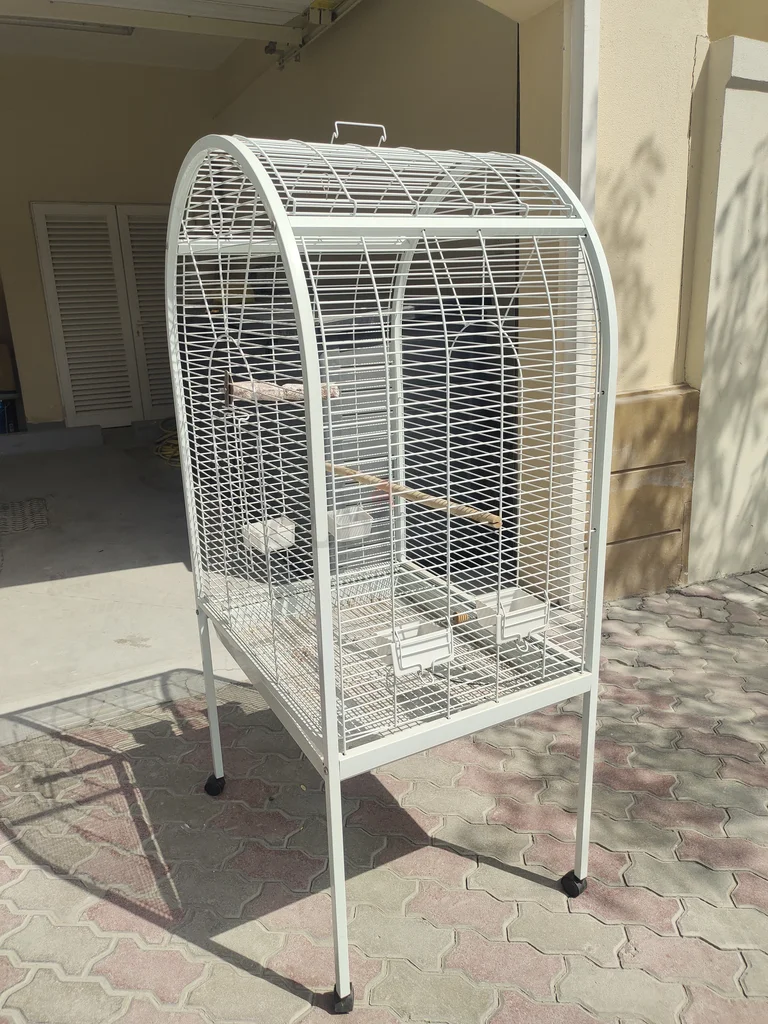 Spacious Bird Cage in Excellent Condition62931680240513113