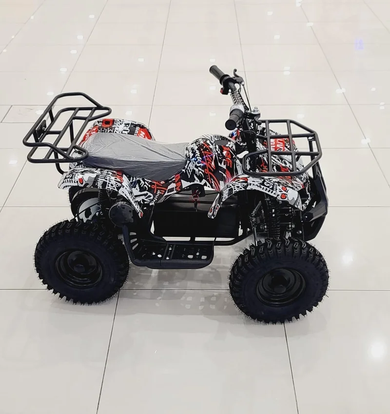 Electric 36 v quad 800 watts motor62863818416898111