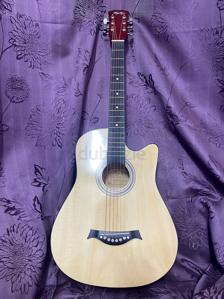 guitar aquatic for beginners delivery available632272770680331114