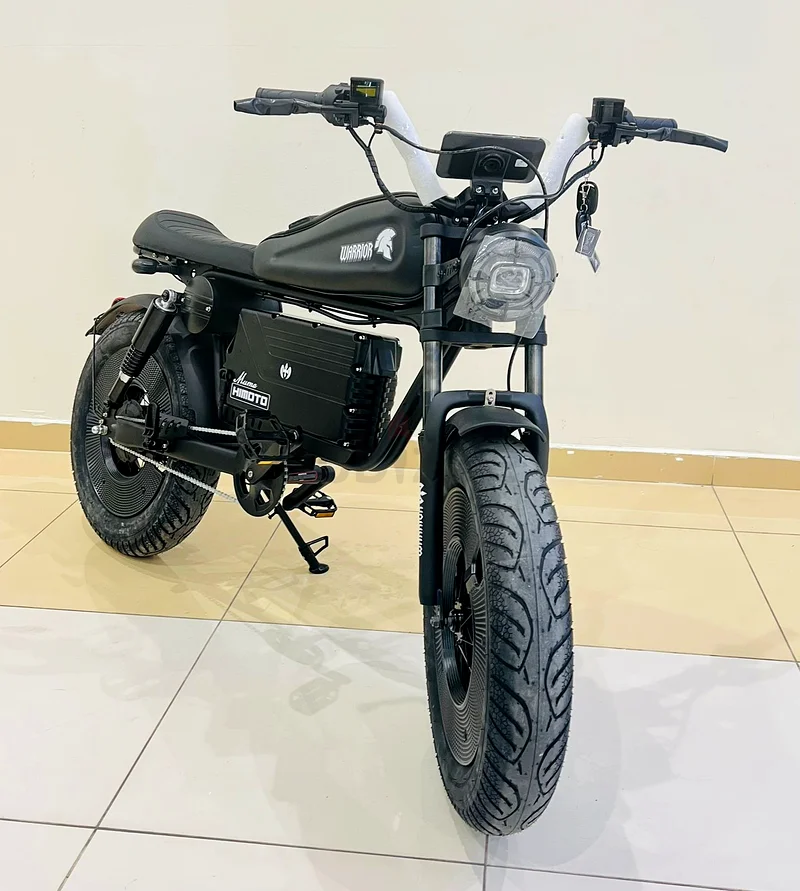 Electric Fat Tire Bike 1000W63253481883650111