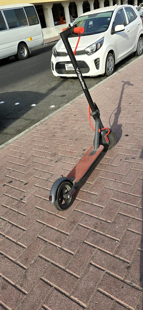 Rohan wings electric scooter62932693878531112