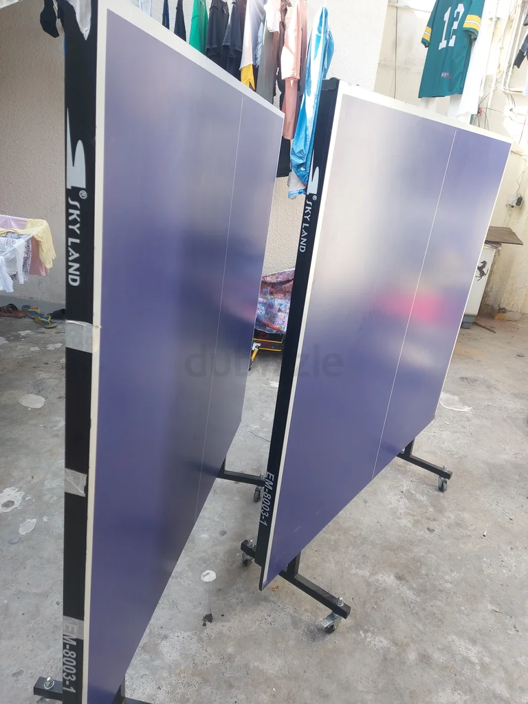 Sky Land Table Tennis Table - Perfect for Fun Tournaments!62932693797889112