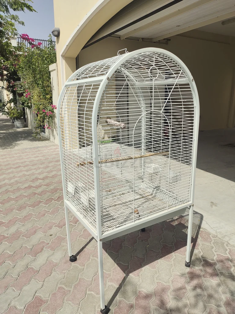 Spacious Bird Cage in Excellent Condition62931680240513112