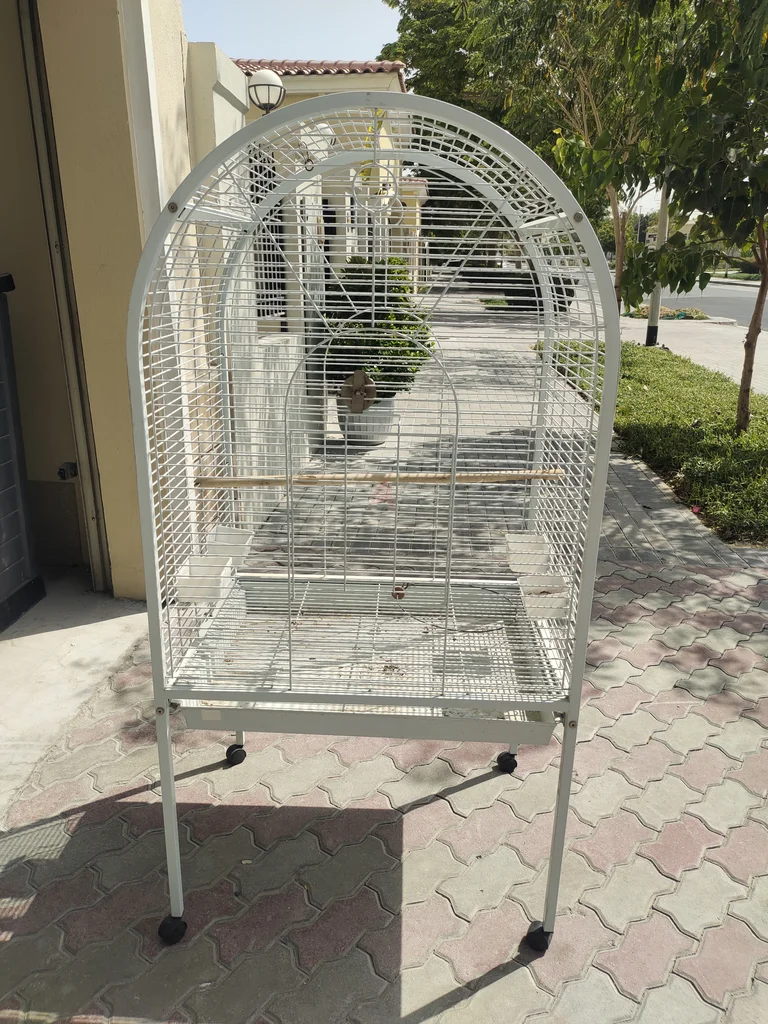 Spacious Bird Cage in Excellent Condition62931680240513114