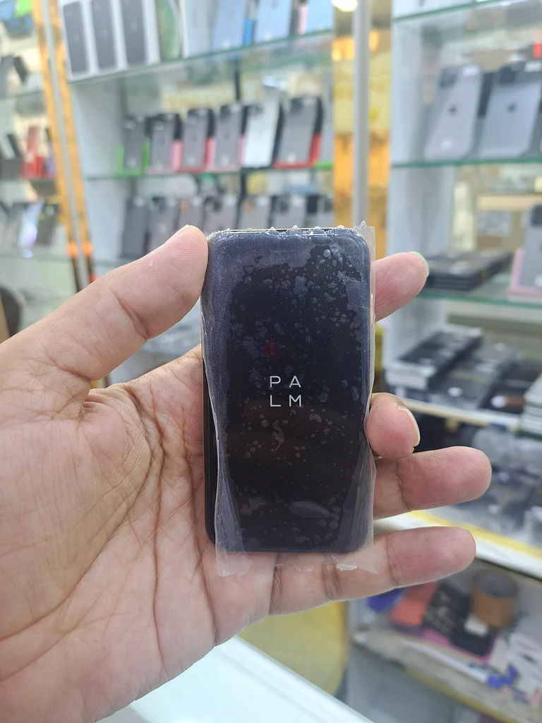 نخيل63183248484867112