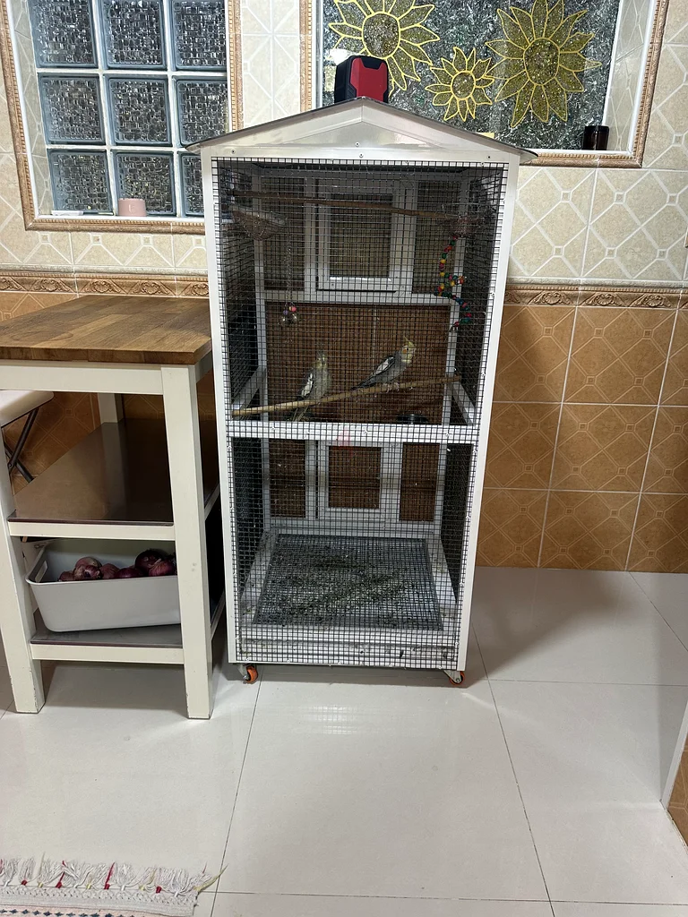 spacious Bird Cage for Sale - Perfect for Your Feathered Friends!63232650344835112