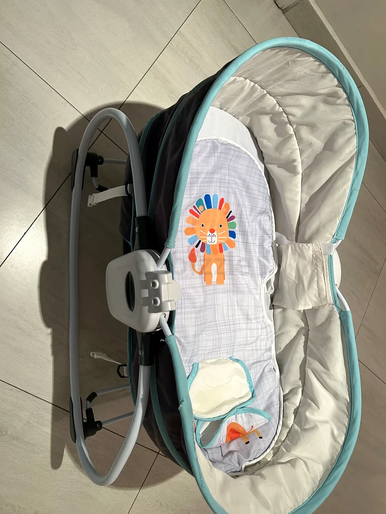 Baby bouncer / baby bassinet63204862927619111