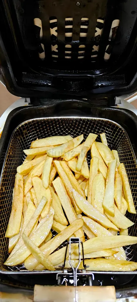 MOULINEX Deep Fryer63253975810433115