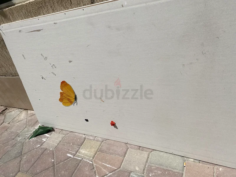 Gypsum sheet free63264064785283111