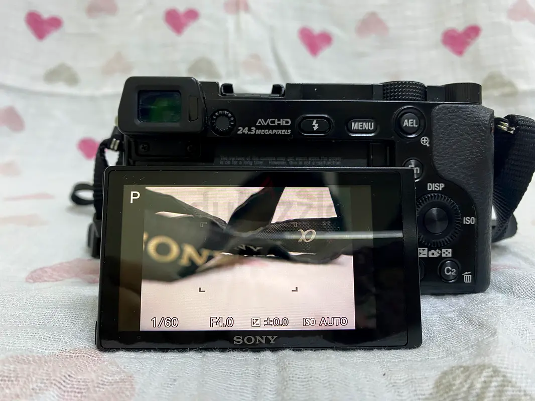 Sony alpha 600063233633091331115