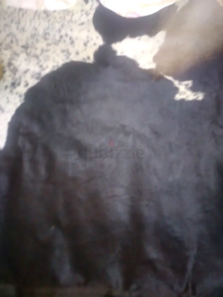 Natural caw skin63221348061187110