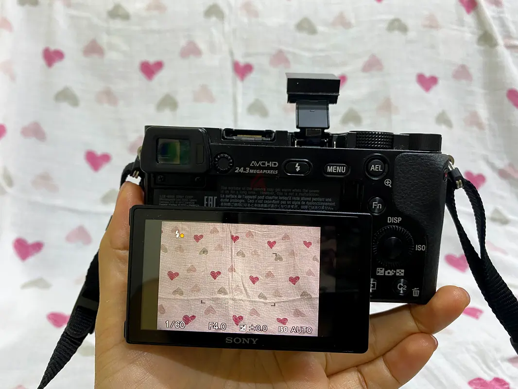 Sony alpha 600063233633091331112