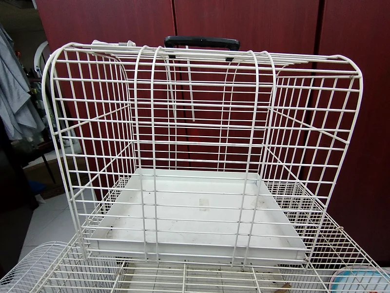 Spacious Bird Cage for Sale63233642402179111