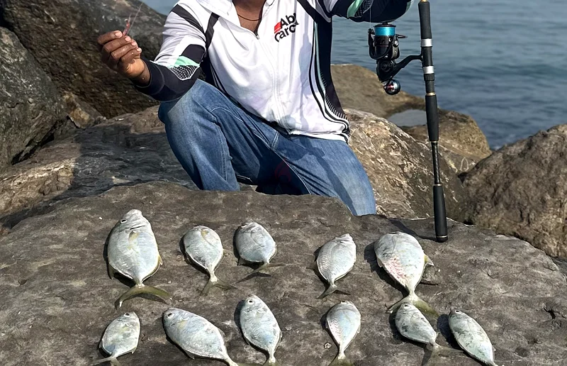 Hair clip lure for sale63241125116418112