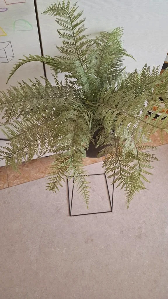 An ornamental plant with a base from Home Centre63220828921729111