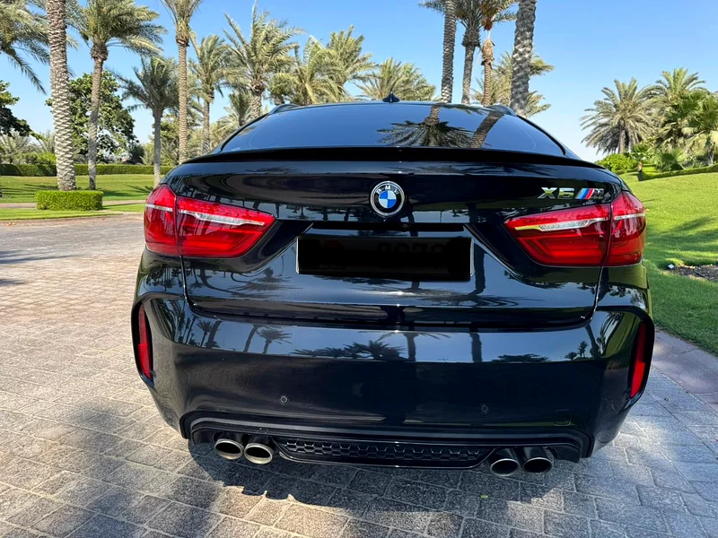 GCC 2018 BMW X6M63161528030978113