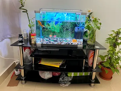 Stylish Black Glass TV Stand with Fish Tank